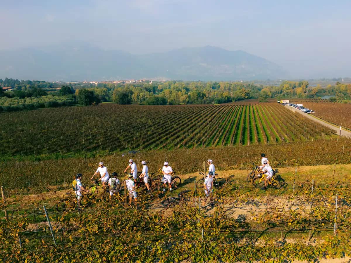 Bike tour aziendale tra i vigneti della Franciacorta, vista dal drone