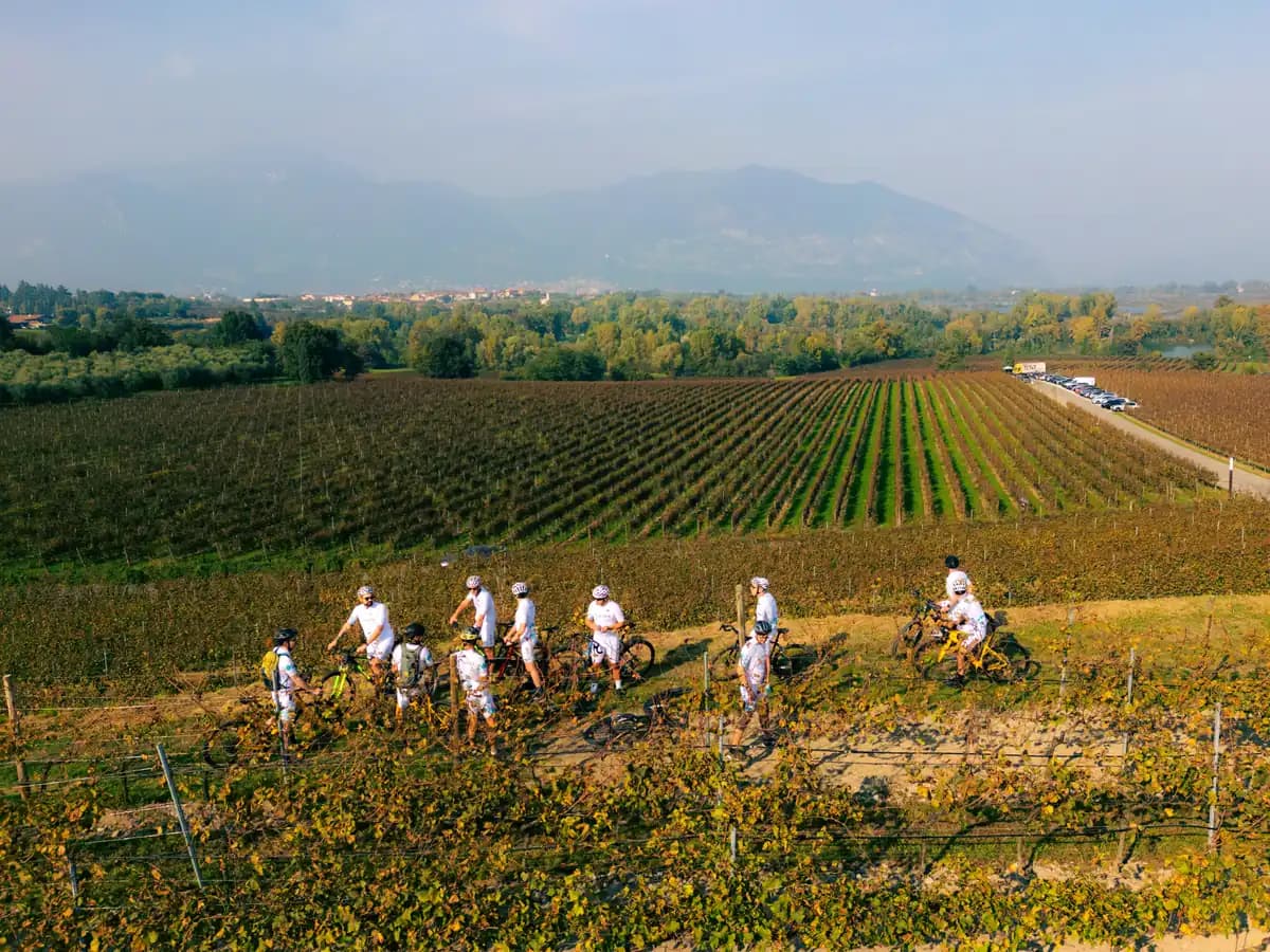 Corporate group cycling through the Franciacorta vineyards