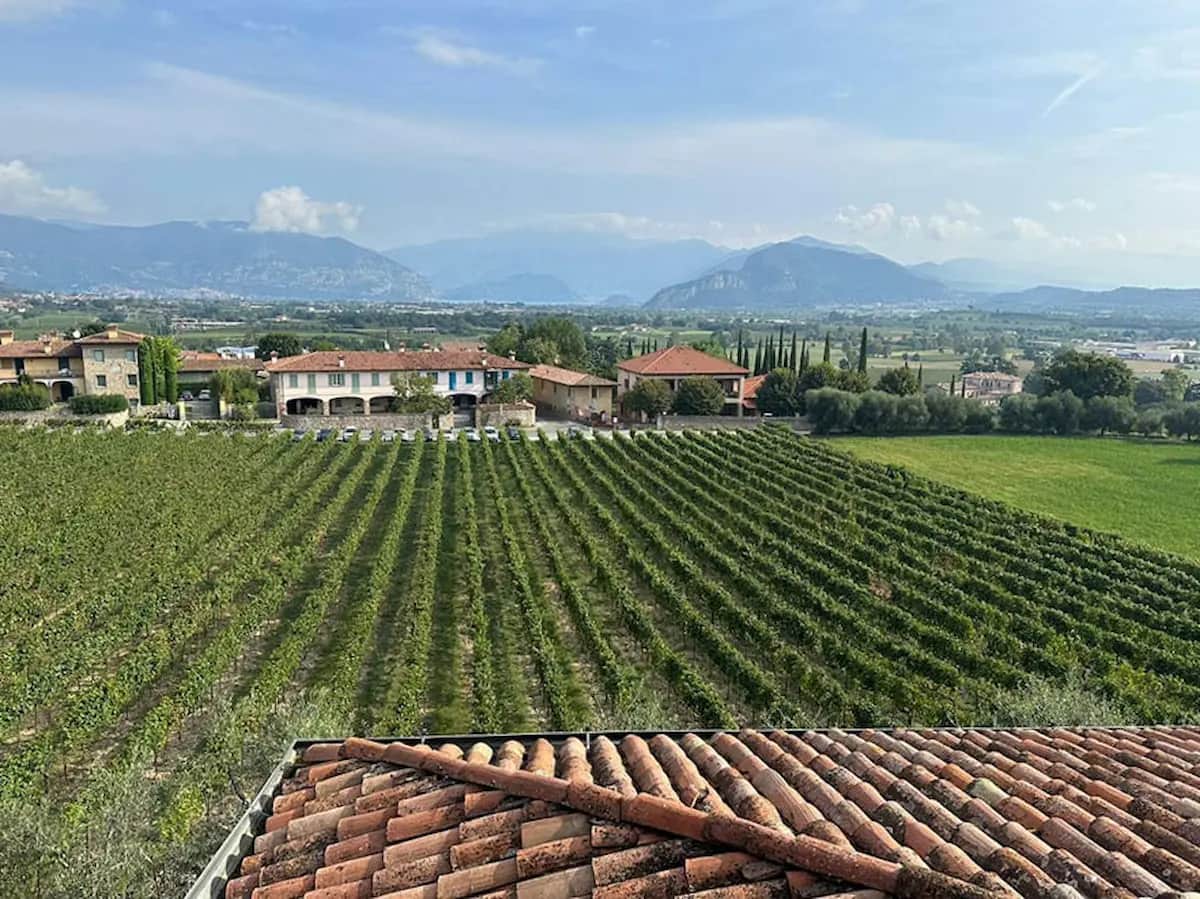 Tour in Franciacorta con degustazione