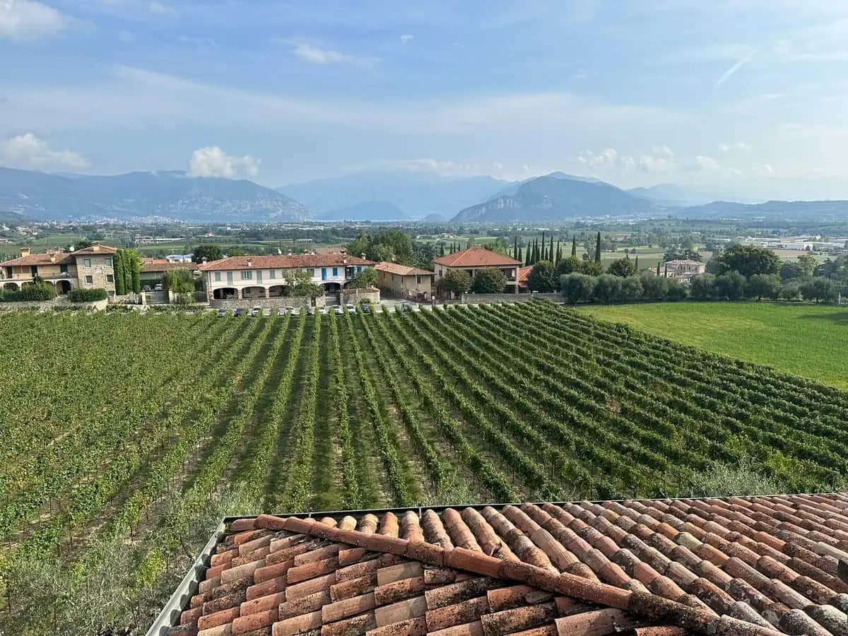 E-bike tour through the Franciacorta vineyards with a winery tasting